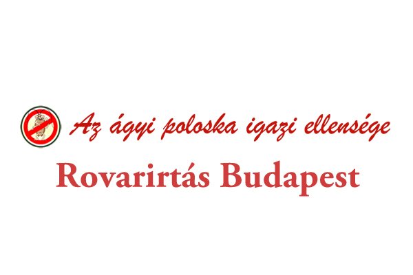 rovarirtás Budapest-2