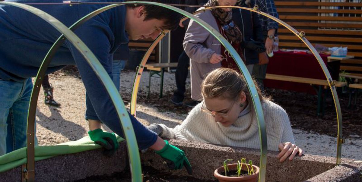 Megkezdődött az idei kertészeti szezon a Kuny Domokos utcai közösségi kertben